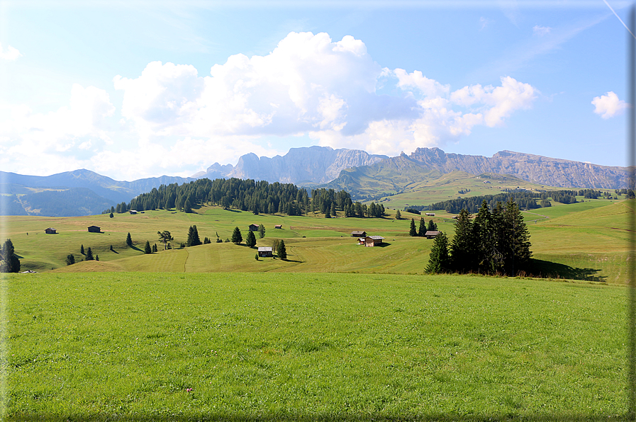 foto Alpe di Siusi